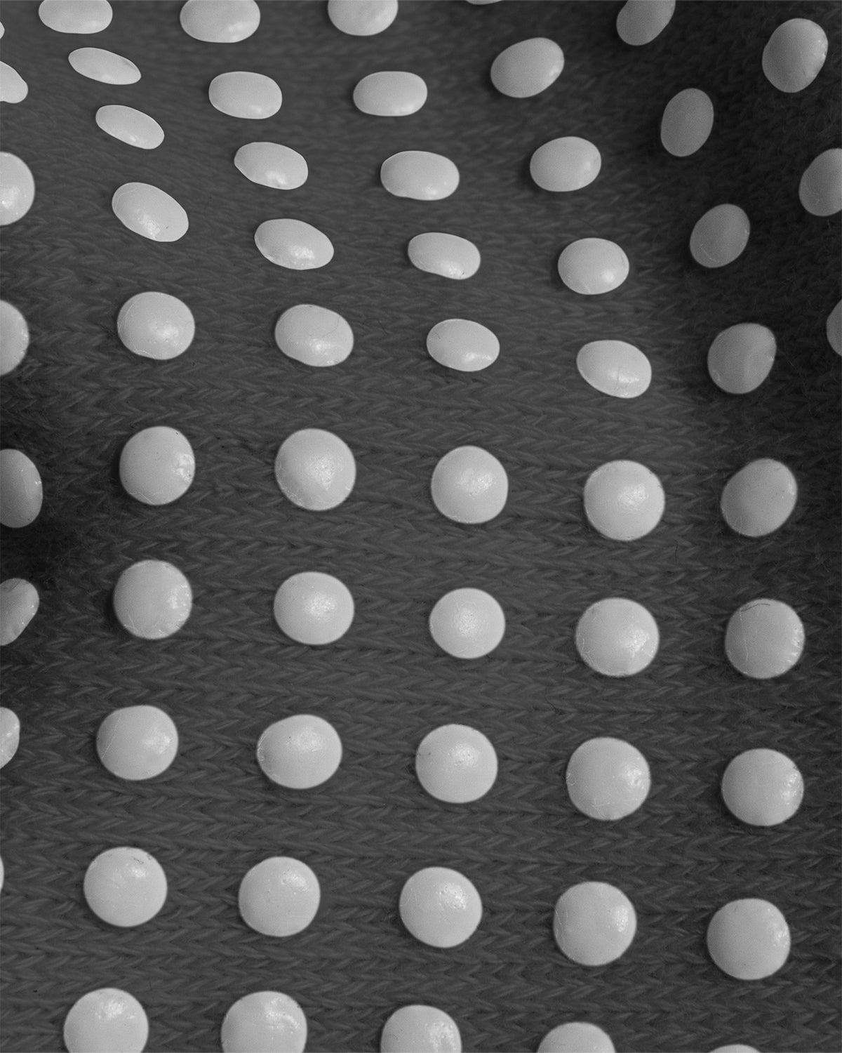 The Low Sock | Charcoal